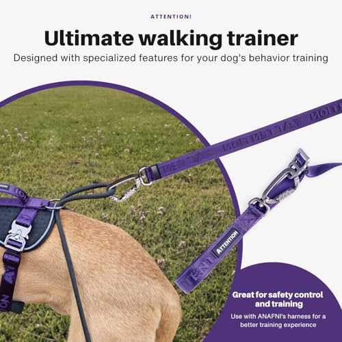 Heavy-Duty Tactical Dog Leash for Medium & Large Dogs, 6-in-1 Hands-Free Lead for Training, 4-7.5FT Adjustable Waist Belt for Walking (Moss Green) - color: Moss Green