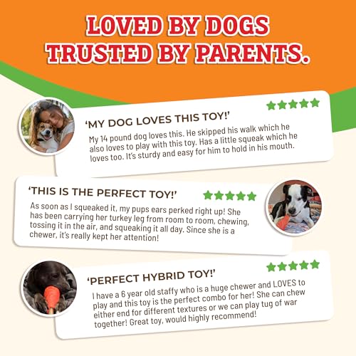 Baba Buddies 5-in-1 Turkey Leg Dog Chew Toy for Aggressive Chewers | Natural rubber & tough nylon hybrid, dental cleaning ridges, real turkey flavor. For Labrador, German Shepherd, Pit Bull