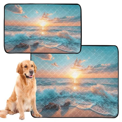 Qilmy Sea Pet Mat, Waterproof Reusable Dog Training Pad Anti-Slip Pet Creat Pad for Small Medium Large Dogs and Cats - size: Medium+Large