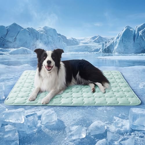 Bedsure Cooling Dog Mat Extra Large, Q-Max>0.5 XL Thin Breathable Cold Crate Pad for Pet, Portable Washable Kennel Bed for Summer Active Dog with Chill Soothing Fabric to Rapid Cooling,41x28, Green - color: Light Green, size: 41" x 28" (XL-Crate)