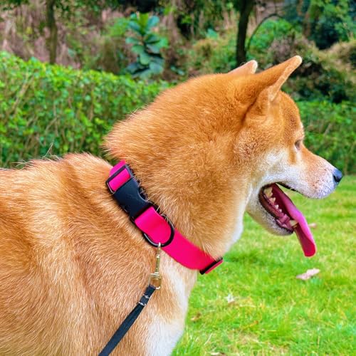 Waterproof Dog Collar Durable and Easy to Clean Rubber Dog Collars Odor-Proof Fits Small Medium Large Dogs (Pink, Medium (11.8-18.5” Neck)) - color: Pink, size: Medium (11.8 -18.5” Neck)