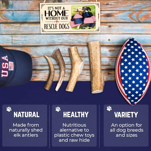 Devil Dog Pet Co. Elk Antlers for Dogs, Natural Dog Chew for Aggressive Chewers - Long Lasting and Odor Free - USA Sourced - Cleaner Teeth, Anxiety & Boredom Relief - Whole Medium 5"+ - Antler Bone - style: WHOLE - Medium - 1 Pack