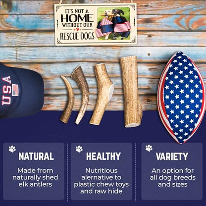 Devil Dog Pet Co. Elk Antlers for Dogs, Natural Dog Chew for Aggressive Chewers - Long Lasting and Odor Free - USA Sourced - Cleaner Teeth, Anxiety & Boredom Relief - Whole XL 7"+ - Antler Bone - style: WHOLE - XL - 1 Pack