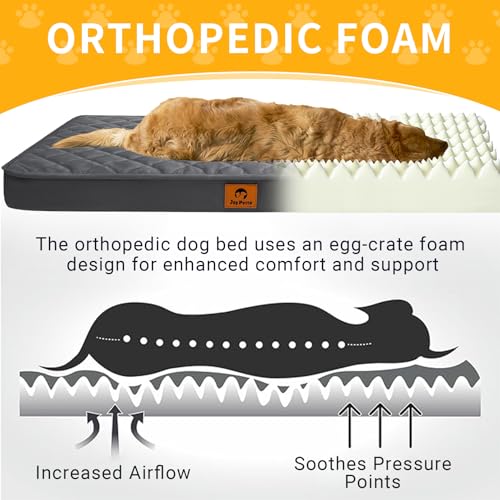 Orthopedic Egg Crate Foam Small Medium Dog Bed | 30x20 inch, supports up to 30 lbs, waterproof, machine washable, non-slip bottom, crate indoor use, dark grey - size: 30"L x20 "W x 3"Th