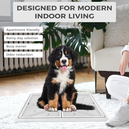 Dog Pee Pad Holder with Raised Mesh Grate – Expandable Indoor Puppy Potty Tray, Heavy Duty Plastic, Keeps Paws Dry, Fits Standard 24x15 Pads – Alpha Dog Series