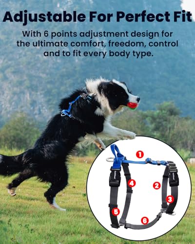 Non-Restrictive Dog Harness, Easy Walk Freedom No Pull Harness, Keep Balance, Neck-Buckle, Six Points Adjustment, 2 Leash Clips for Back and Front Clip (Purple/Black, X-Small) - color: Purple/Black, size: XS