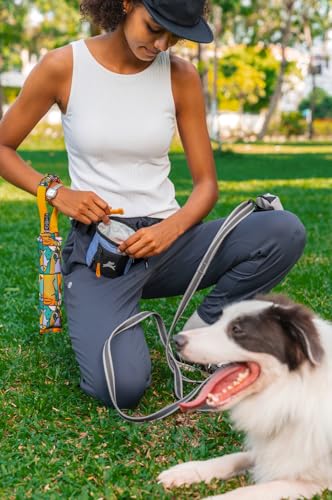 OllyDog, Goodie Treat Bag, Dog Treat Training Pouch | Magnetic Closure | 3 Ways to Wear | Hands-Free Waist Belt | Water-Resistant Recycled Vegan Fabric (Blue Heron) - color: Blue Heron