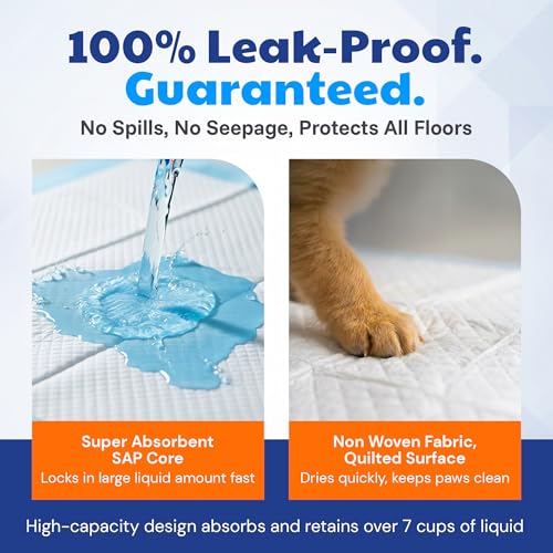 American Kennel Club Scented Puppy Training Pads with Ultra Absorbent Quick Dry Gel – 28 x 30 Pee Pads for Dogs - Fresh Scented - 50 Count, XL - size: 28 x 30 - 50 Count