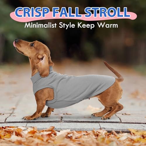 Dog Fleece Vest - Grey, XL - Pullover Lightweight Sweater | Warm and Stretchable Medium Dogs Sweatshirt,Winter Dachshund Clothes,Beagle - color: Grey, size: X-Large