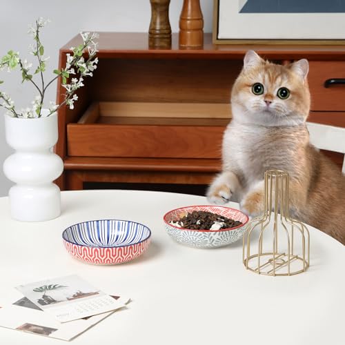 Selamica 세라믹 고양이 사료 그릇 4개 세트, 14cm(5.6인치) 너비의 얕은 고양이 그릇/음식과 물용 접시, 다양한 색상 - color: 다양한 색상, size: 5.6 Inch, Set of 4