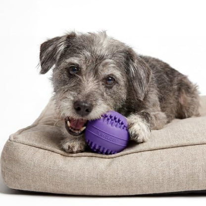Playology Dog Toys | Dental Chew Ball for Senior Dogs | Pork Sausage Scented Medium Toy | Dog Balls for Healthy Teeth and Gums - size: Medium Chew Ball, style: Pork Sausage