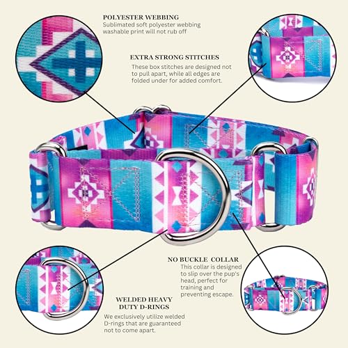 Country Brook Petz - HossFit Jr Wide Martingale Dog Collar - Country and Western Collection Featuring Rustic Designs (Albuquerque, Medium) - color: Albuquerque, size: Medium (Pack of 1)