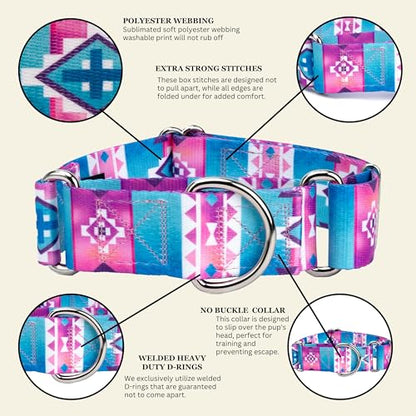 Country Brook Petz - HossFit Jr Wide Martingale Dog Collar - Country and Western Collection Featuring Rustic Designs (Albuquerque, Large) - color: Albuquerque, size: Large (Pack of 1)