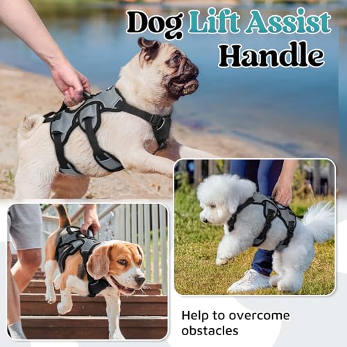 rabbitgoo Escape Proof Dog Harness, Soft Padded Full Body Pet Harness, Reflective Adjustable No Pull Vest with Lift Handle and Leash Clip for Large Dogs Walking Hiking Training, S, Grey - color: Grey, size: Small (Pack of 1)