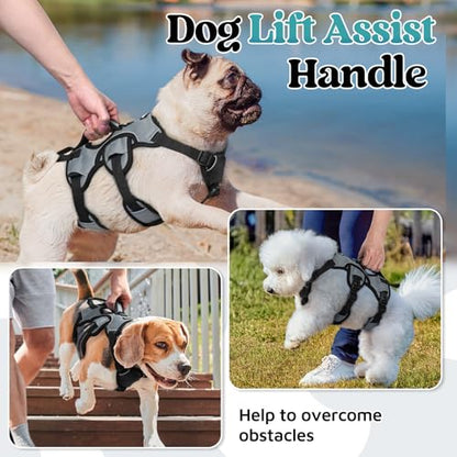 rabbitgoo Escape Proof Dog Harness, Soft Padded Full Body Pet Harness, Reflective Adjustable No Pull Vest with Lift Handle and Leash Clip for Large Dogs Walking Hiking Training, S, Grey - color: Grey, size: Small (Pack of 1)