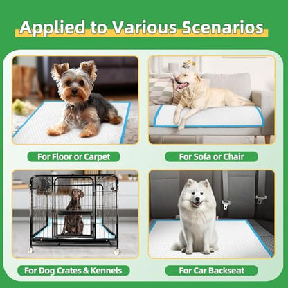 DEEP DEAR Dog Pads Extra Large 30"x36", 30-Count XXL Puppy Pads, Super Absorbent Pee Pads for Dogs, Disposable Bed Pads for Doggies, Puppies, Thicker X-Large Incontinence Pads for Dogs, Cats, Rabbits - size: Regular XXL: 30"x36"-30 Ct