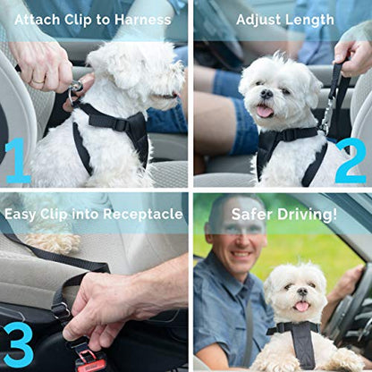 Duke & Dixie Dog Seat Belt Pet Dog Cat Car Seatbelt Safety - Adjustable Harness Safety Belts Pet Leash - Heavy Duty Nylon - Universal Fit (2 Pack Elastic Leash) (2 Pack Elastic seat BLT Leash)