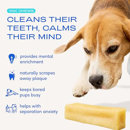 Native Pet Yak Cheese Himalayan Dog Chews - Long Lasting Dental Sticks for Small Breeds– 100% All Natural Himalayan Yak Chews for Small Dogs – Cheese Bone for Aggressive Chewers - 15 Per Pack - size: 15 Chews