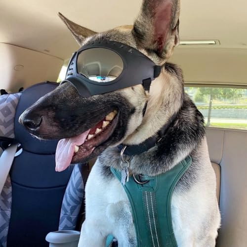 Namsan Dog Goggles for Large Dogs, Wide Snout & Soft Frame, Tactical Driving Sunglasses for Dogs Medium to Large Breed, Anti-UV Dog Eye Protection, Windproof Dustproof, Adjustable, Black - color: (Large)Silver Lens