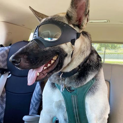 Namsan Dog Goggles for Large Dogs, Wide Snout & Soft Frame, Tactical Driving Sunglasses for Dogs Medium to Large Breed, Anti-UV Dog Eye Protection, Windproof Dustproof, Adjustable, Black - color: (Large)Silver Lens
