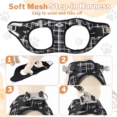 Gyuzh Cat Harness and Leash Set for Puppies - 3 Piece Step in No Pull Vest & Collar, Extra Small Kitten Harness, Breathable Reflective Plaid, Padded Leash (Black, S) - color: Black, size: S