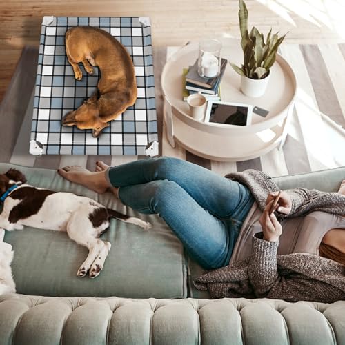 Caghash Elevated Outdoor Raised Dog Bed Outdoor Dogs Bed Lifted Pet Bed Dog Cot for Medium Pet Taste Life, Start with A Pet Bed 34'' x 26'' x 6.5'' - size: Standard - Medium
