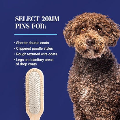 Chris Christensen 20 mm Oblong Pin Dog Brush, Original Series, Groom Like a Professional, Stainless Steel Pins, Lightweight Beech Wood Body, Ground and Polished Tips - size: 20mm