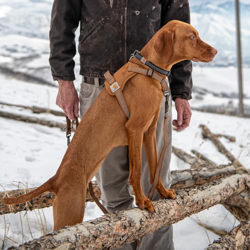 Carhartt Nylon Duck No Pull Dog Harness, Fully Adjustable Dog Harness with Quick Control Handle and Reflective Accents, Deep Wine, Large - color: Deep Wine, size: Large