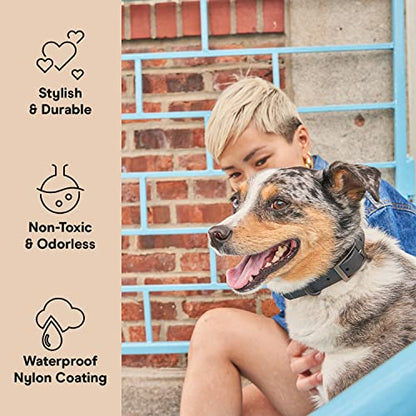 Wild One Dog Collar, Easy-Clean, All Weather Flex-Poly Strap with Metal, Durable, Dirt and Odor Resistant (Black, M) - color: Black, size: M