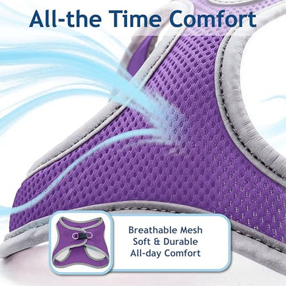 Kruz Dog Harness (Chest 14.5"-15.5", Weight 6–10 lbs) Athletica Adjustable Heavy Duty No Choke Puppy Vest for Small Dogs Lightweight Air Mesh, Reflective, Puppy Essentials – Amethyst, Small - color: Amethyst, size: Small