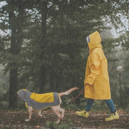 IECOii Dog Raincoat,Waterproof Rain Coat for Small Dogs,Adjustable Pet Rain Jacket with Hood,Lightweight Doggy Raincoats with Reflective Stripes,Yellow,Small - color: Yellow, size: Small