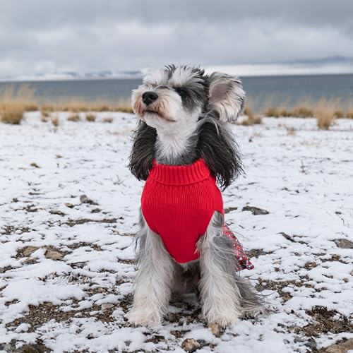 CuteBone Christmas Dog Sweater Dress Turtleneck Puppy Sweater with Bowtie Leash Hole Pullover Winter Dress for Small Dogs - color: Merry Christmas 1, size: X-Small
