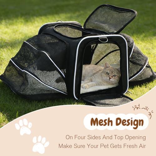 Double Expandable Cat Carrier,Airline Approved Soft-Sided Pet Travel Carrier for Small Dogs Cats Under 15 lbs,Waterproof 600D Oxford Fabric with Washable Replacement Liner,Odor-Free & Claw-Proof Black - color: Black