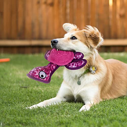 Dog Chew Toys,Puppy Teeth Chew Toys Durable Rubber Material Turtle Shape Dog Toys with 2 Tennis Ball (Red) - color: Red