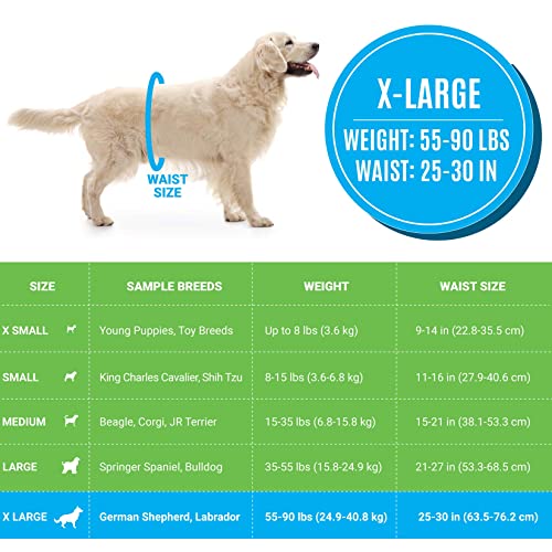 Bodhi Dog Disposable Male Dog Diapers - Super Absorbent, Leak-Proof Pee Wraps - Adjustable Fit, Comfortable Design, Advanced Moisture Control, and Wetness Indicator - Extra Large (20 Count) - size: Extra Large