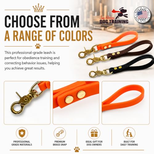 Biothane Training Tab Leash for Dogs, Brass Hardware, No Pull with Easy Grip Handle, Made in The USA, Professional Grade-Orange - color: Orange