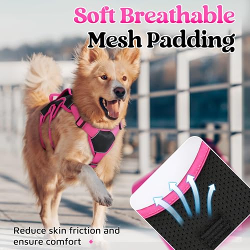 rabbitgoo Escape Proof Dog Harness Medium, Soft Padded Full Body Pet Harness, Reflective Adjustable No Pull Vest with Lift Handle and Leash Clip for Walking Hiking Training, Pink & Black, M - color: Pink & Black, size: Medium (Pack of 1)