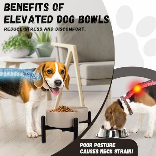 Raised Ceramic Dog Bowl Set - Elevated Double Dishes with Stainless Steel Stand - Food and Water Bowls for Small to Medium Dogs - Each Holds 3.5 Cups (29.57 fl oz) - White - color: White, size: 2 Bowls - 3.5 Cups Each