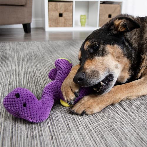 goDog Dinos Bruto Checkers Tough Plush Toy with Chew Guard Technology, Durable Checkered Fabric & Squeaker for Active Play, Purple, Large - color: Dinos Bruto (Purple), size: Large