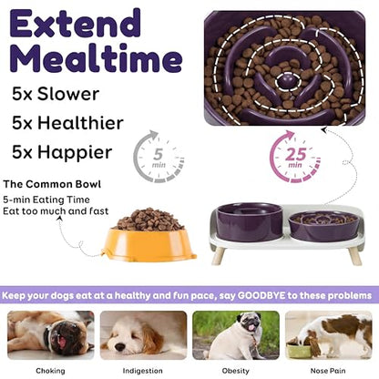 Elevated Slow Feeder Dog Bowls - Ceramic Food and Water Bowl Set with Stand - Raised Pet Dishes for Small and Medium Sized Dogs - color: Purple