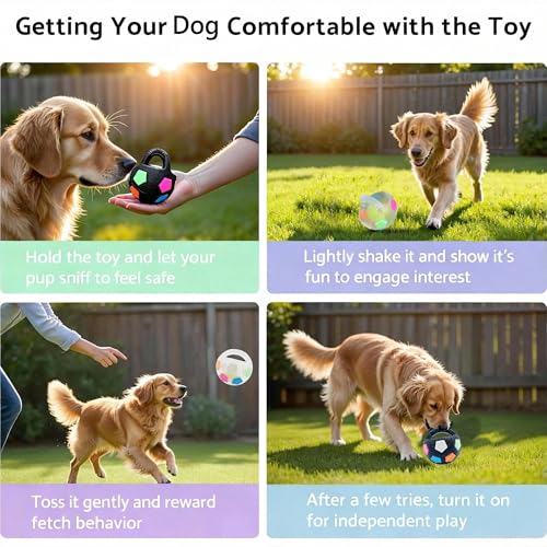 Dog Toy Ball TPR Heavy Duty Footbal 5 Inch Durable Chew Resistant Fetch Toy, Interactive Rolling & Bouncing Play for Medium Large Dogs, Chew Toy for Dental Health & Energy Release (Black+Transparent) - color: Black+Transparent