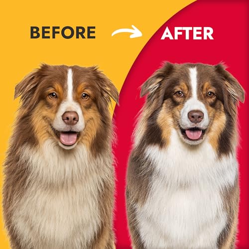 KONG Double-Sided Flexible Slicker Brush – De-Shedding & Detangling Tool, Padded Grip, Long Metal Pins, Flexible Head, for Medium to Large Dogs with Medium to Long Coats, Red/Gray - size: Medium Double-Sided Flexible Slicker