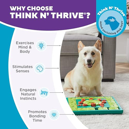 Outward Hound by Nina Ottosson MultiPuzzle – Interactive Dog Treat Puzzle Enrichment Toy, Level 4 Expert - color: Multipuzzle (Green)