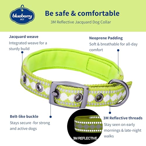 Blueberry Pet Reflective Jacquard Dog Collar with Neoprene Padding & Metal Buckle | Soft & Adjustable Safety Collar - Macaw Green, Neck 9-12.5", for Small Breed - color: Metal Buckle-Macaw Green, size: Small