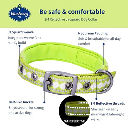 Blueberry Pet Reflective Jacquard Dog Collar with Neoprene Padding & Metal Buckle | Soft & Adjustable Safety Collar - Macaw Green, Neck 13-16.5", for Medium Breed - color: Metal Buckle-Macaw Green, size: Medium