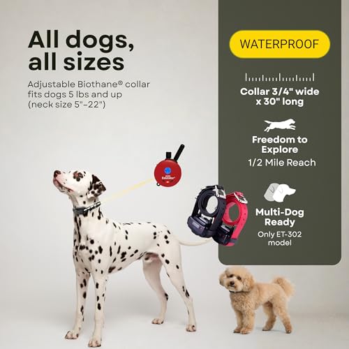 E-Collar ET-300 / ET-302 Dog Training Collar System with Remote - 1/2 Mile Range - Waterproof, Vibration, Sensation - Includes eOutletDeals Pet Towel (2 Dog System - ET-302 RED) - size: 2 Dog System - ET-302 RED