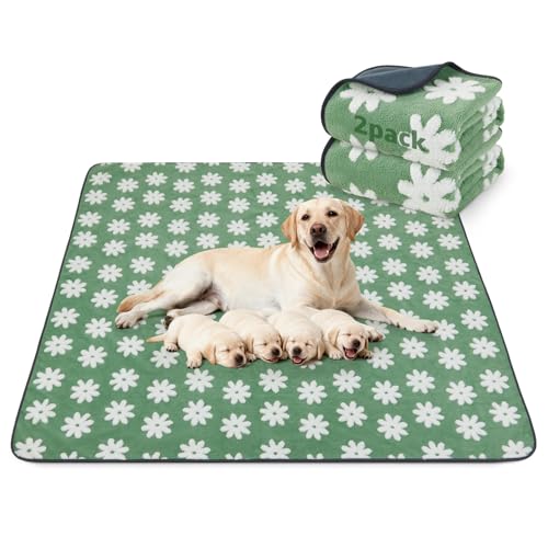 LOOBANI Extra Large Whelping Pad, Non-Slip Dog Pee Pads Washable, Fast Absorbent Reusable Pee Pads for Dogs, Waterproof and Leakproof Dog Playpen Mat for Floor, Crate, Potty (48"x48",2 Packs) - color: Green Daisy, size: 48"x48"(Pack of 2)