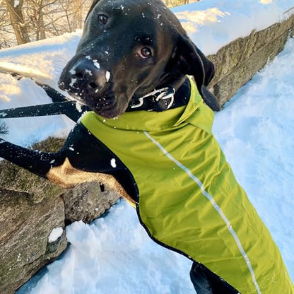 Mile High Life Dog Raincoat, Adjustable Waterproof Reflective Rain Jacket for Small Medium Large Dogs, Lightweight Breathable Pet Rain Coat with Leash Hole(Lime Yellow,XXS Chest 16-19") - color: Lime Yellow, size: XXS Chest 16"-19"