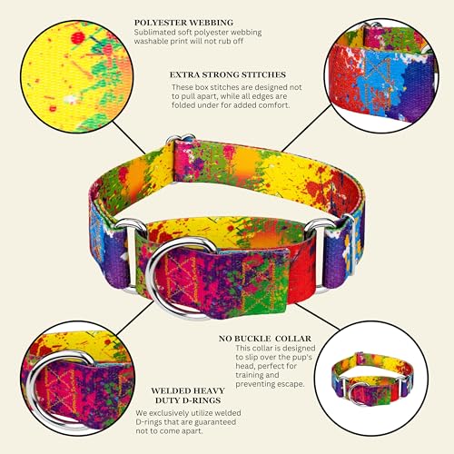 Country Brook Petz - HossFit Jr Wide Martingale Dog Collar - Groovy Collection Featuring Far Out Designs (Paint Splatter, Extra Large) - color: Paint Splatter, size: Extra Large (Pack of 1)