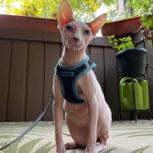 Best Pet Supplies - All Weather Mesh, Reflective, No Pull Harness for Small, Medium Dogs, Cats - Secure with Hook & Loop Fastener, Buckle, Double D-Rings - Blue Trim, XS - color: Harness (Blue Trim), size: XS (Chest: 13 - 14.5")